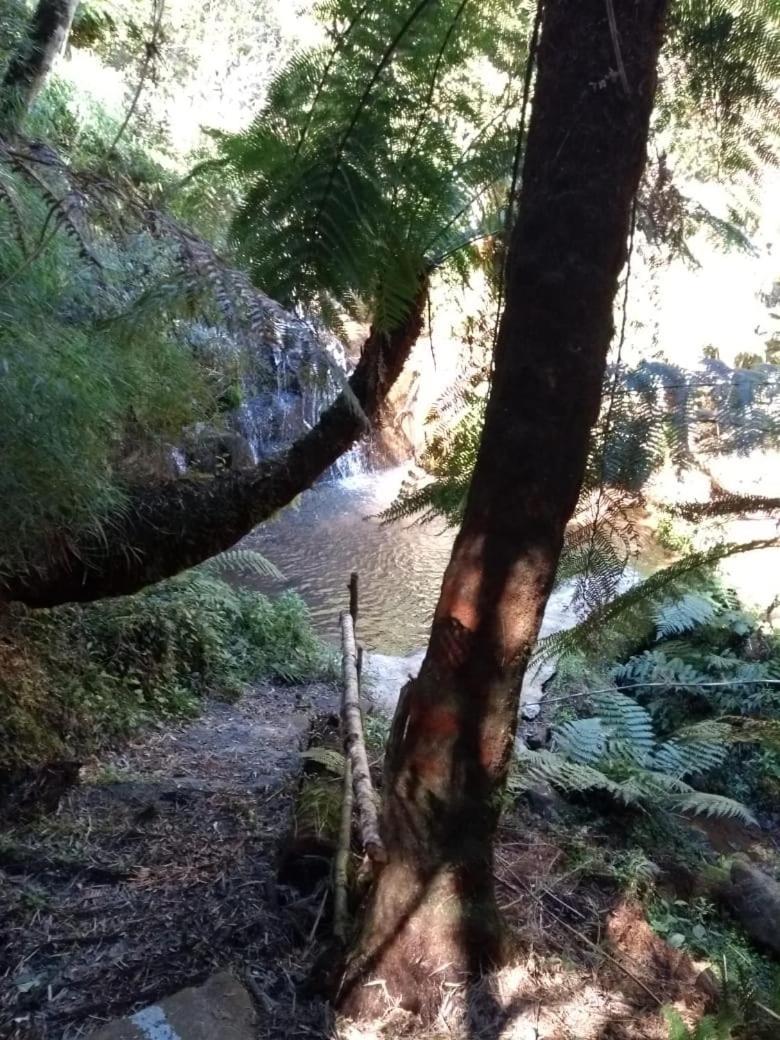 Fazenda Morro Das Torres Urupema Eksteriør bilde
