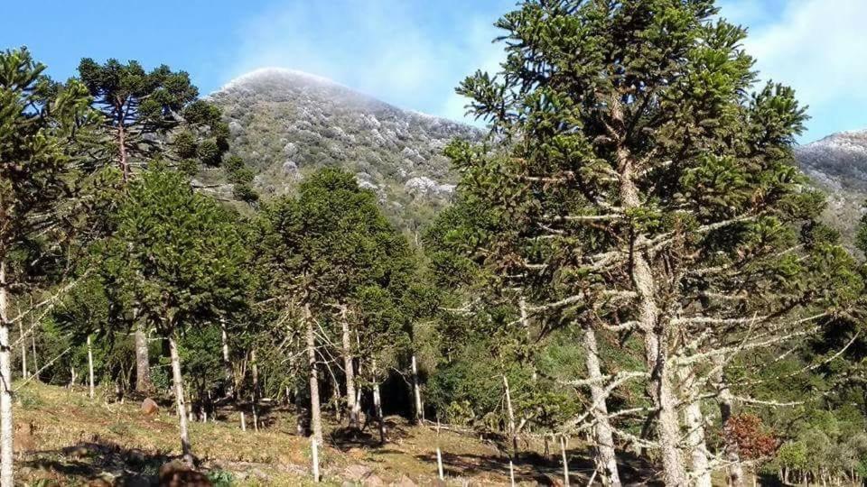Fazenda Morro Das Torres Urupema Eksteriør bilde